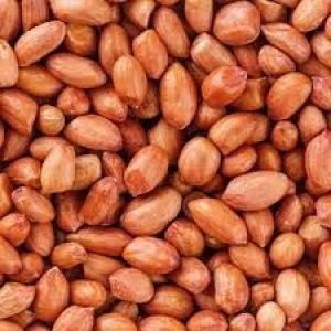 Kacang Tanah