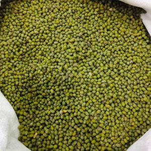kacang ijo
