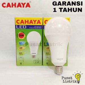LED CAHAYA 25W