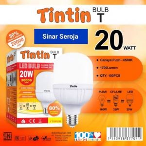 LED 20W TINTIN