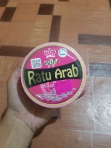 Bibit Ratu Arab