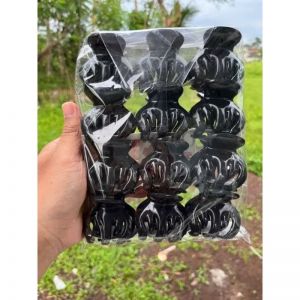 Jedai hitam/warna
