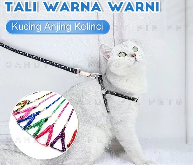 Rantai Panjang Kucing