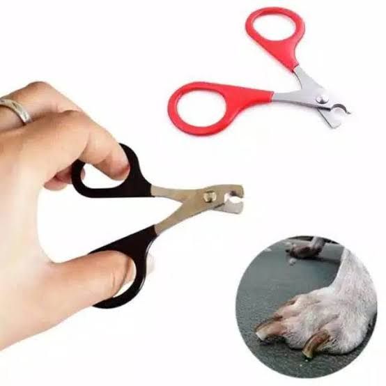 Gunting Kuku
