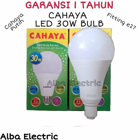 LED CAHAYA 30W