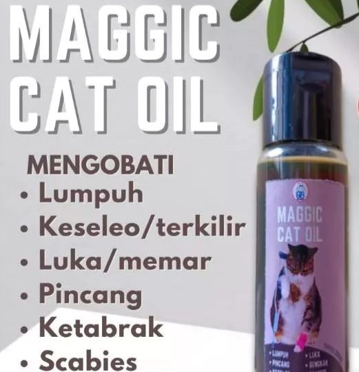 MAGGIC CAT OIL obat kaki kucing pincang, patah, lumpuh, keseleo
