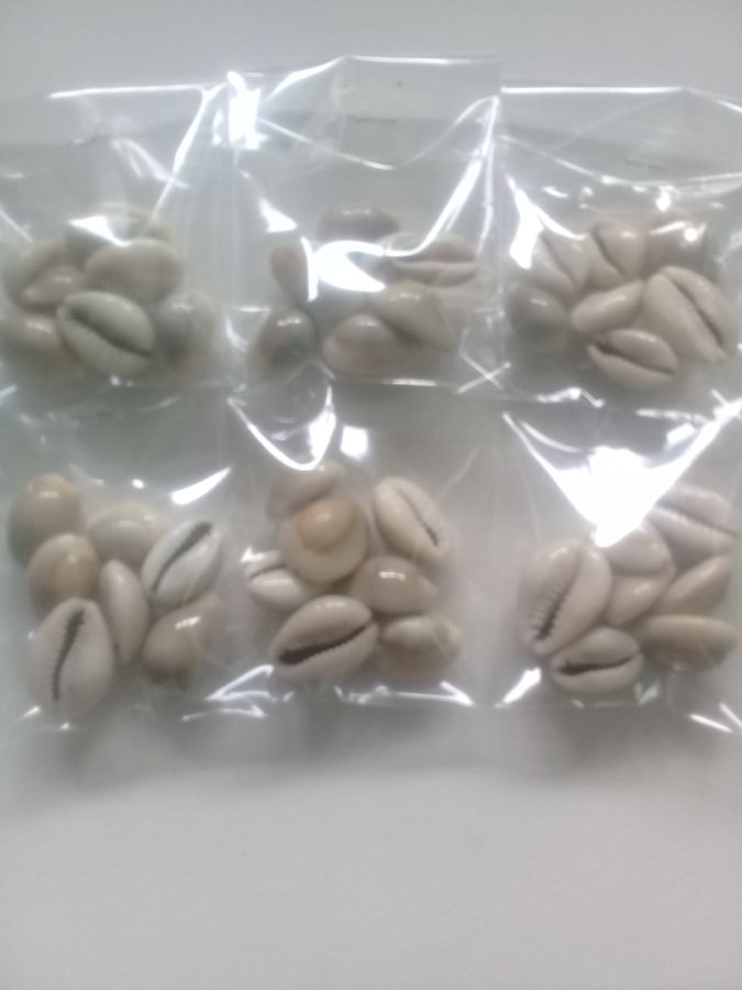 Kewuk kerang
