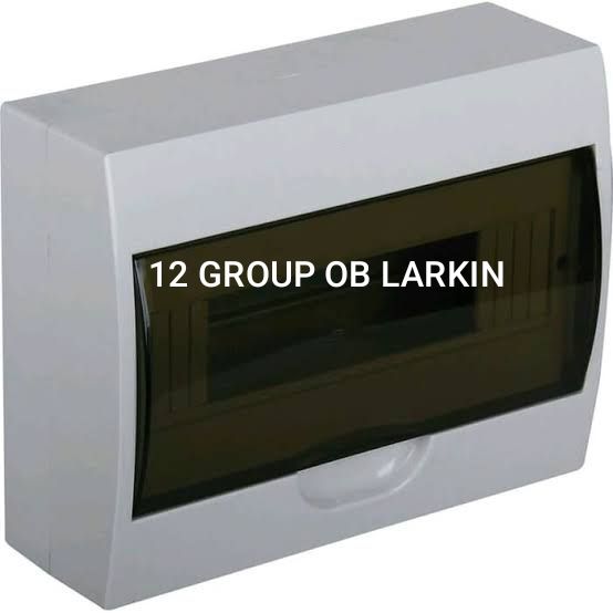 BOX MCB 12 GROUP OB LARKIN