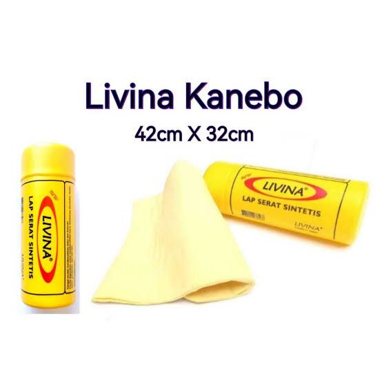 KANEBO LIVINA B2B