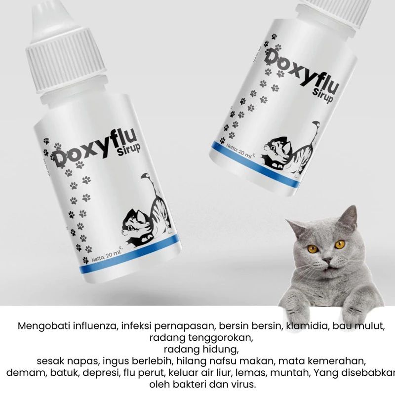 Obat Flu Kucing