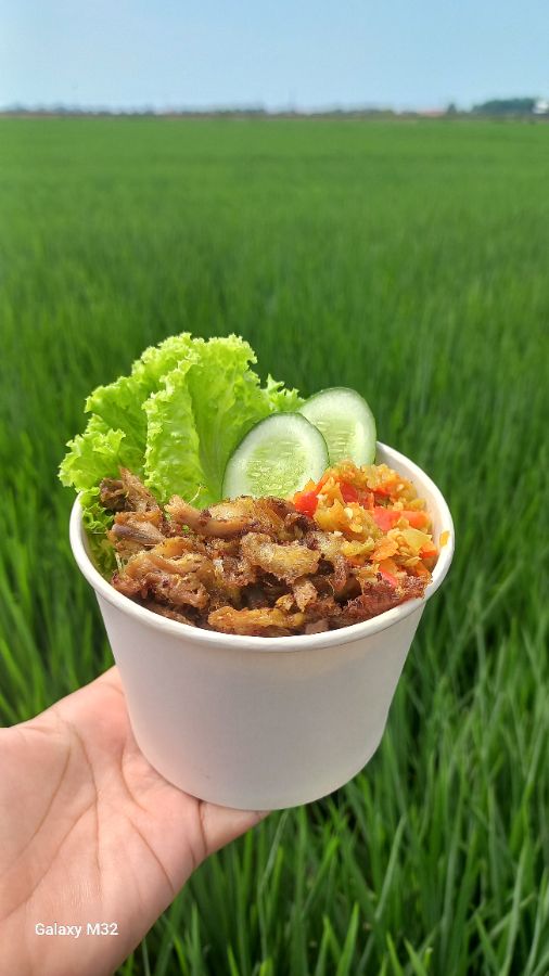 Rice Bowl Bebek Suwir