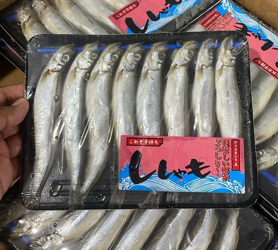 Ikan Shisamo (Ikan Full Telur) 