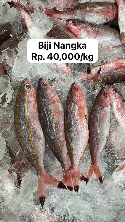 Biji Nangka