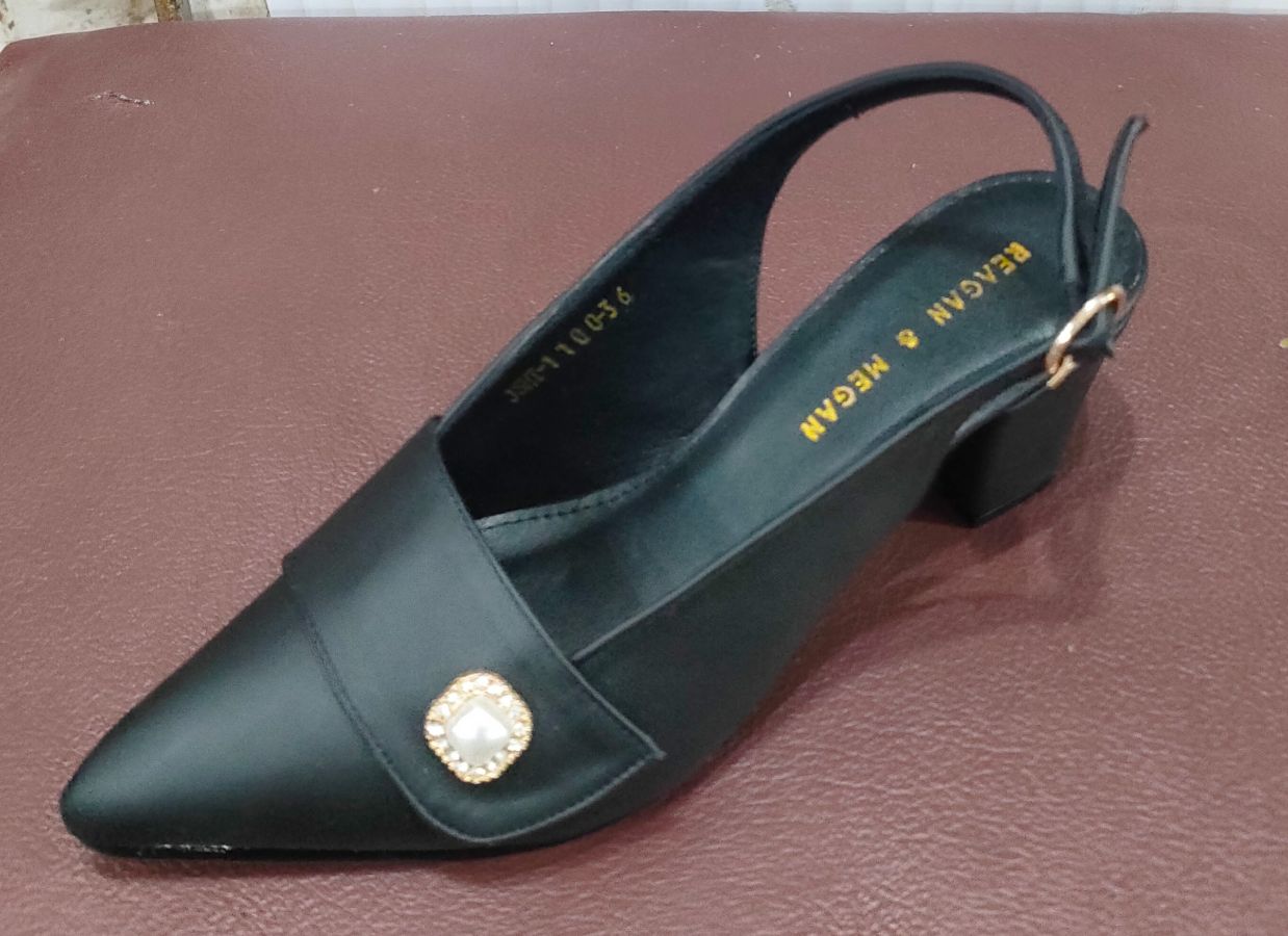 Reagan Megan 1100 HT