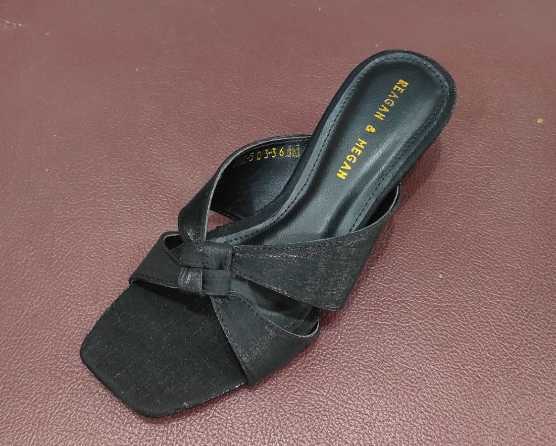 Reagan Megan 503 HT
