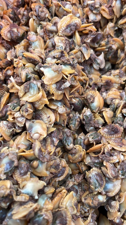 Kerang Dara Kupas 