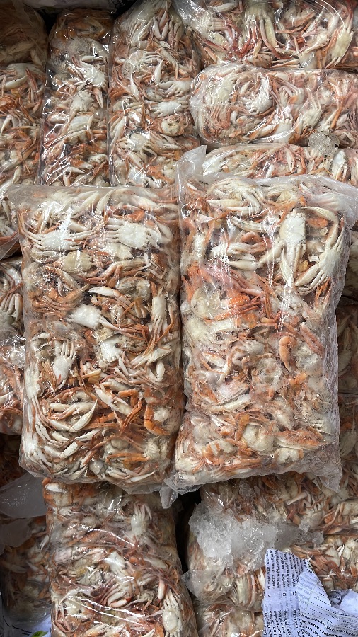 Baby Crab