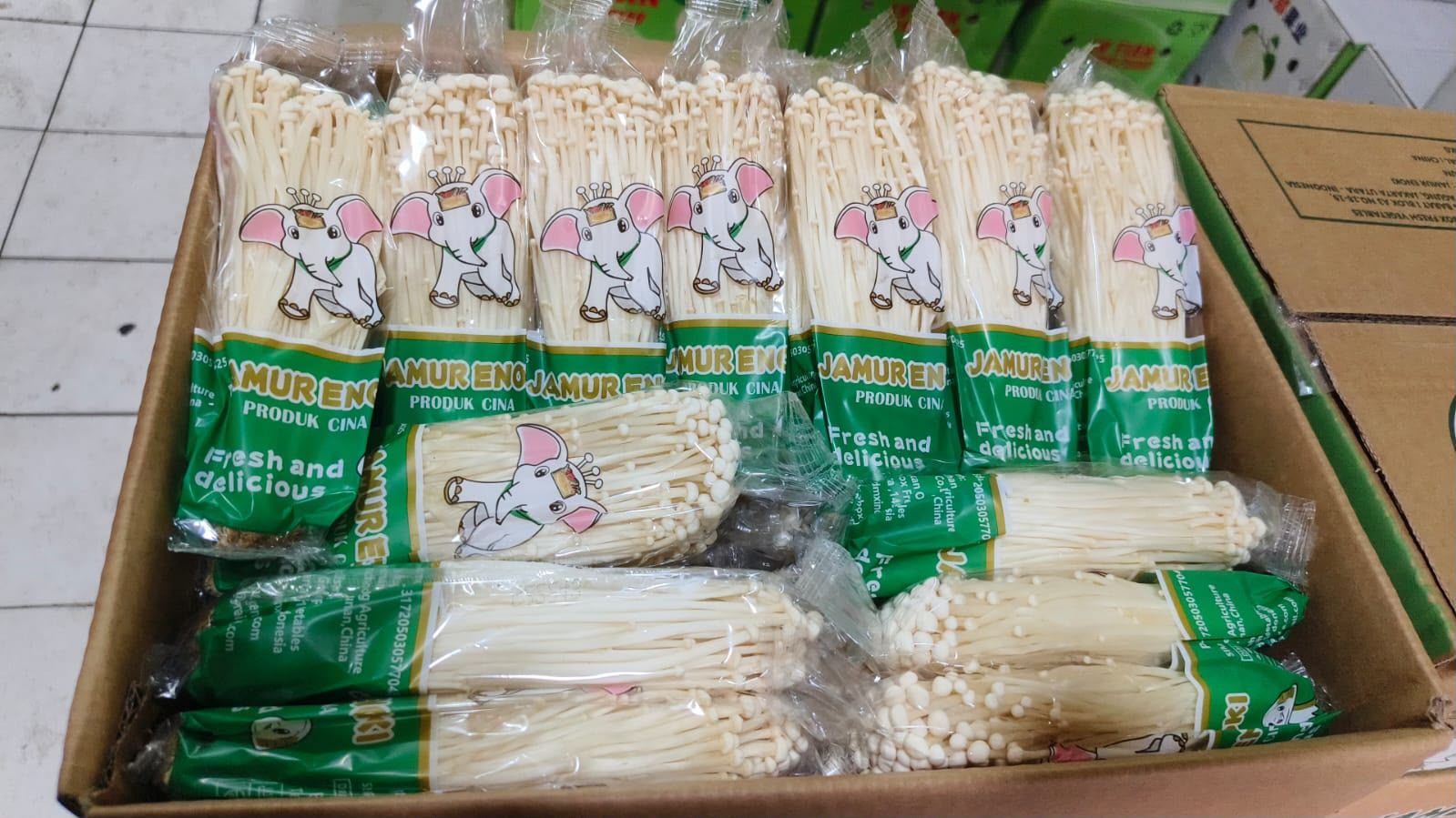 Jamur Enoki