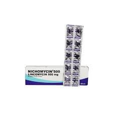 NICHOMYCIN 500MG