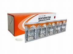 BINTAMOX 500MG