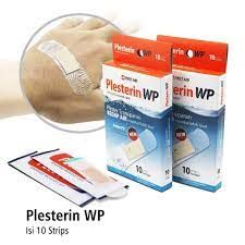 PLESTERIN 