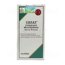 CEFAT DS
