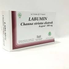 LABUMIN 500MG