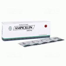 AMPICILLIN 500MG