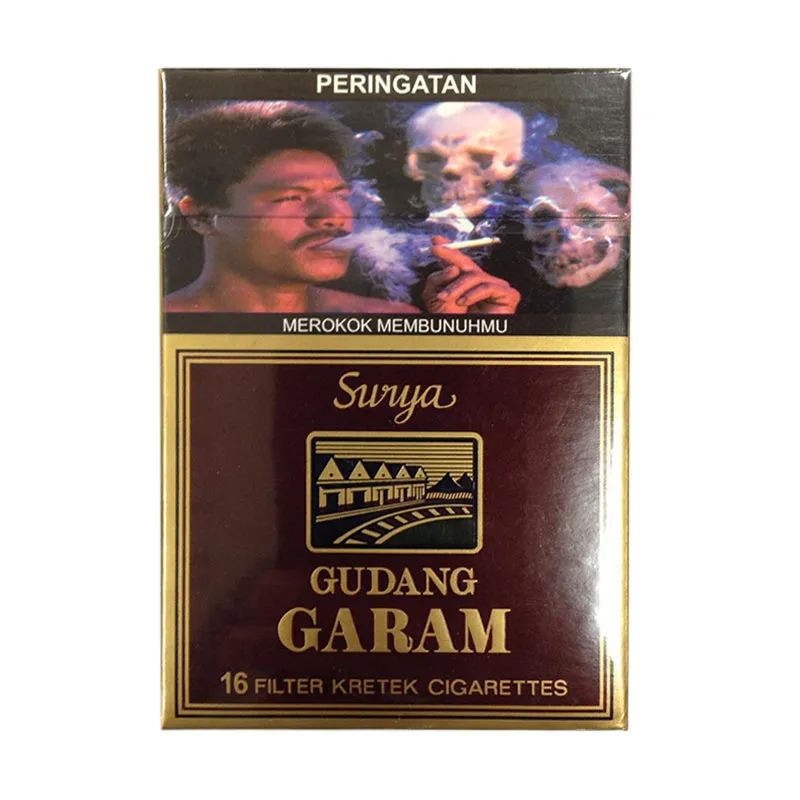 Surya 16