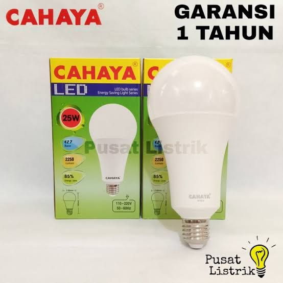 LED CAHAYA 25W