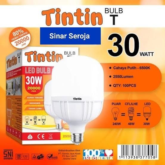 LED 30W TINTIN
