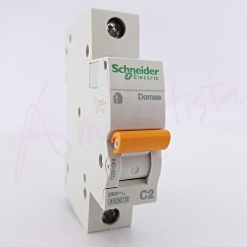MCB SCHNEIDER 2A 4A