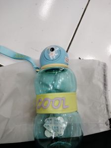 Botol minum