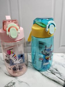Botol minum