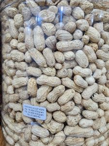 KACANG KULIT ASIN