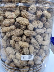KACANG KULIT SANGRAI