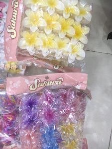 Jedai kamboja isi 12