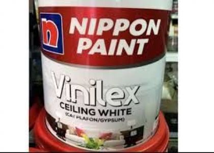 Vinilex Celing 