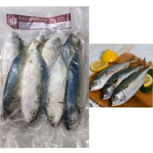 IKAN KEMBUNG 1KG BEKU