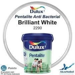 Dulux Pentalite BW