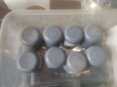 Dop polos 11/2