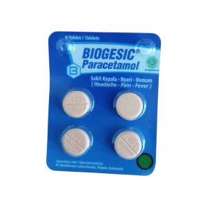 Biogesic blister 500 tab