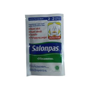 Hisamitsu Salonpas 2x2L