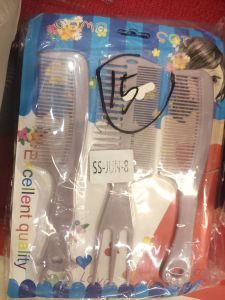 Sisir kar 