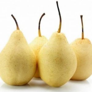 Pir Yali