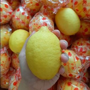Lemon RRC