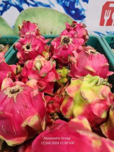 Buah naga