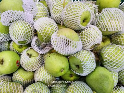 Apel Hijau