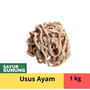Usus ayam 1 kg