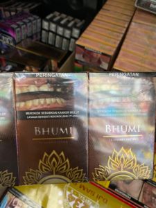 BHUMI ROKO KRETEK 12S